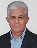 رضا یزدخواستی